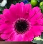 Bo Kay Florist logo